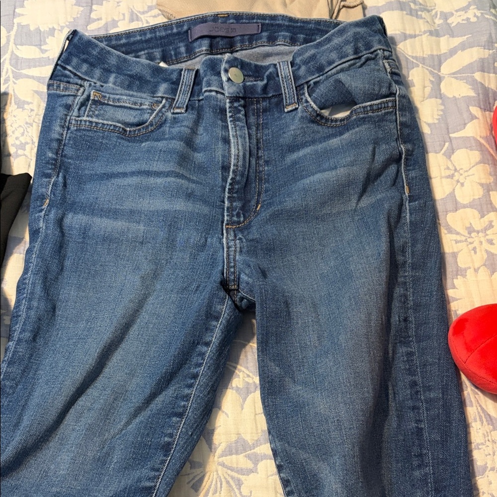 Joe's Jeans Women's Skinny Denim
